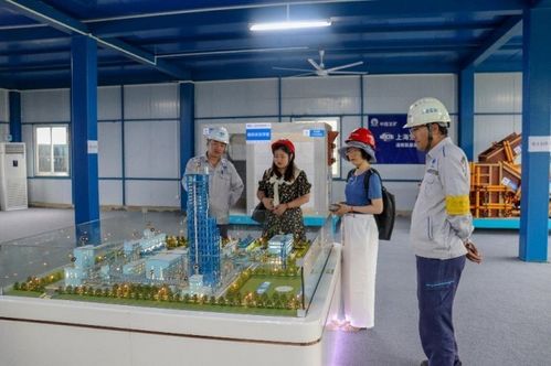 助力鋼企零碳示范工廠項(xiàng)目建設(shè) 走進(jìn)上海寶冶承建的湛江鋼鐵百萬噸級(jí)氫基豎爐項(xiàng)目